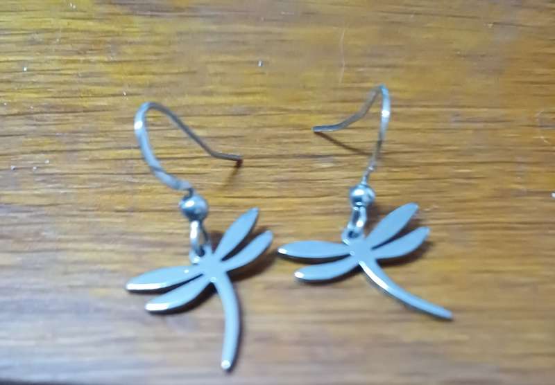 Titanium  dragonfly earrings