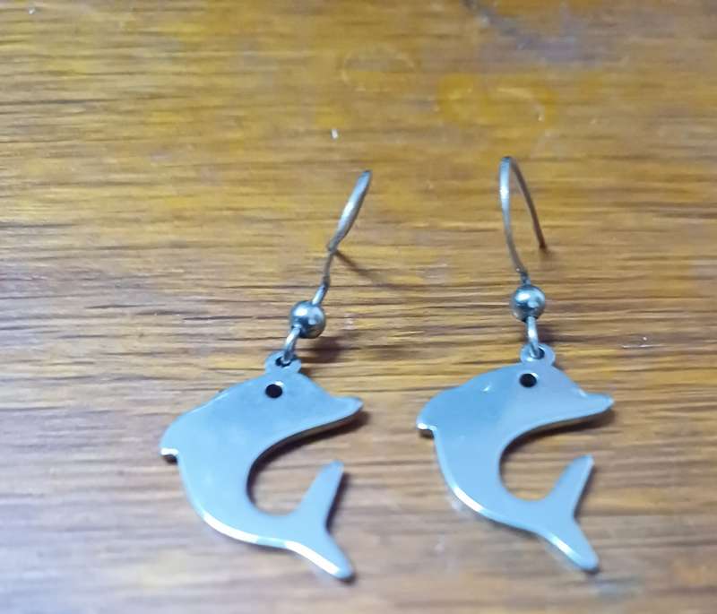 Titanium dolfin earrings