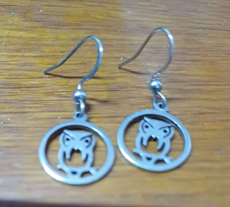Titanium   owl earrings