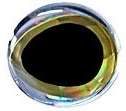 3D fish eyes 9 mm (20 piece) - Fly fishing/Fly tying