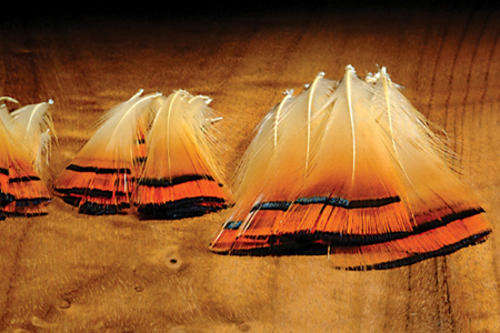 Hareline Golden Pheasant Tippets Natural - Fly fishing/Fly tying