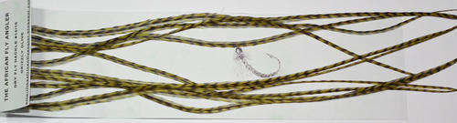 Dry Fly Hackle Packs - Grizzly Olive - Fly fishing/Fly tying