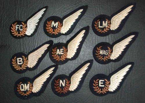 Royal Air Force brevets