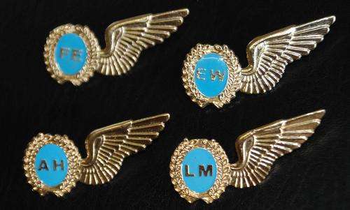 Full size SAAF Gold Brevets