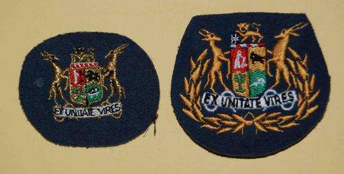SAAF WO1 and WO2 badges