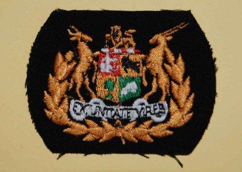 Command Sergeant Major Rank badge