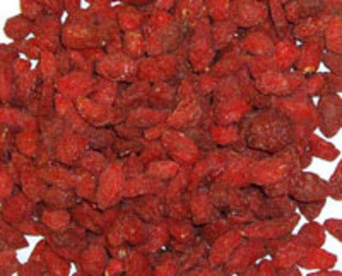 Lycium Barbarum 15seed  "Wolfberry"