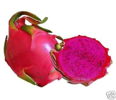 "Dragon fruit" 10 seeds Pitaya- red