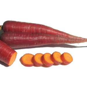 Carrot 25 seeds "Cosmic Purple"