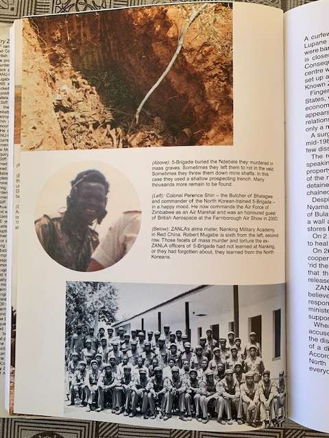 Cry Zimbabwe - Independence Twenty Years On by Peter Stiff