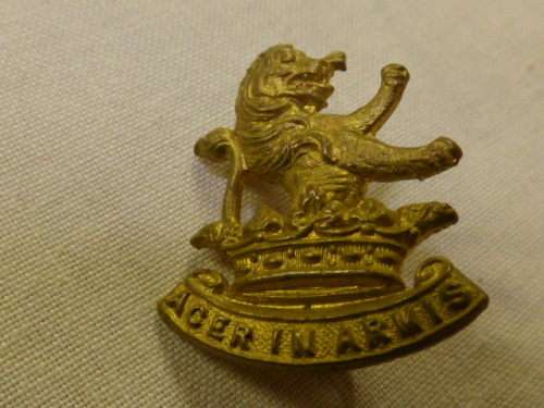 VINTAGE NEW ZEALAND ARMY CAP BADGE. "ACER IN ARMIS" REGIMENT UNKNOWN.