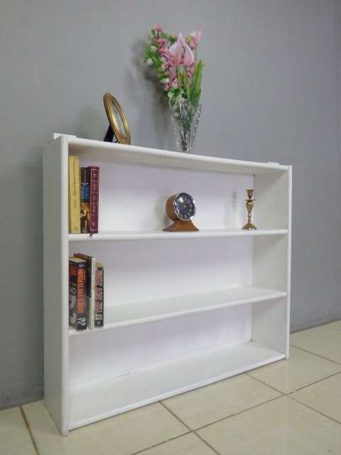 A LOVELY DISPLAY/BOOKSHELF, IDEAL FOR YOUR STUDY OR READING ROOM. PERFECT TO PAINT!!