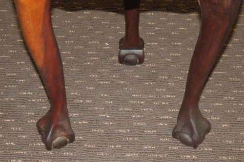 A BEAUTIFUL SOLID IMBUIA THREE LEGGED BALL & CLAW COFFEE/ SIDE TABLE = THE PERFECT LIVING ROOM TABLE