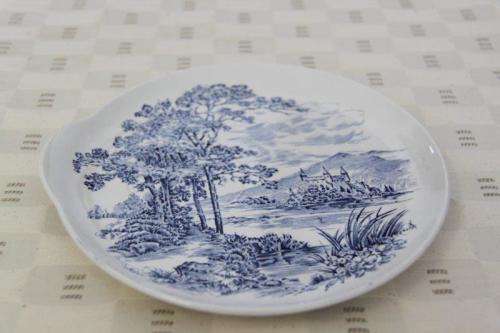 AN INCREDIBLE AND RARE ENOCH WEDGWOOD BLUE AND WHITE TRANSFER PRINT SANDWICH PLATE AND CUP SET