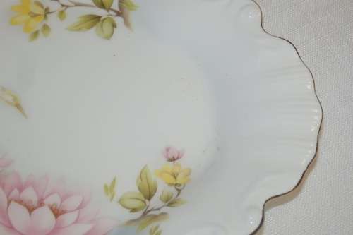 AN EXQUISITE VINTAGE "CASUARINA HERON" FINE BONE CHINA GILT EDGES PLATE IN ITS ORIGINAL BOX