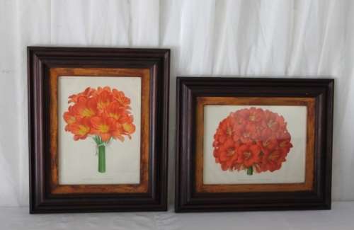2x STUNNINGLY FRAMED "CLIVEIA" BOTANICAL PRINTS OF THE 1895 BOTANICAL SKETCH CATALOGUE bid/print
