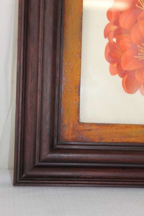 2x STUNNINGLY FRAMED "CLIVEIA" BOTANICAL PRINTS OF THE 1895 BOTANICAL SKETCH CATALOGUE bid/print