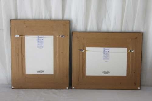2x STUNNINGLY FRAMED "CLIVEIA" BOTANICAL PRINTS OF THE 1895 BOTANICAL SKETCH CATALOGUE bid/print