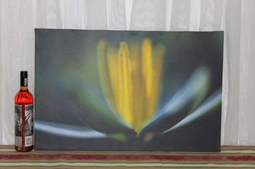 AN AWESOME BOX FRAMED "ABSTRACT" PHOTOGRAPH PRINT ON CANVAS IS IN AMAZING CONDITION