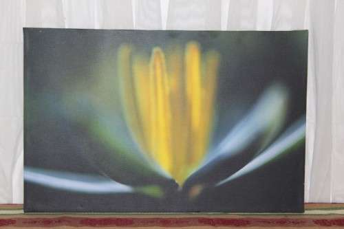 AN AWESOME BOX FRAMED "ABSTRACT" PHOTOGRAPH PRINT ON CANVAS IS IN AMAZING CONDITION