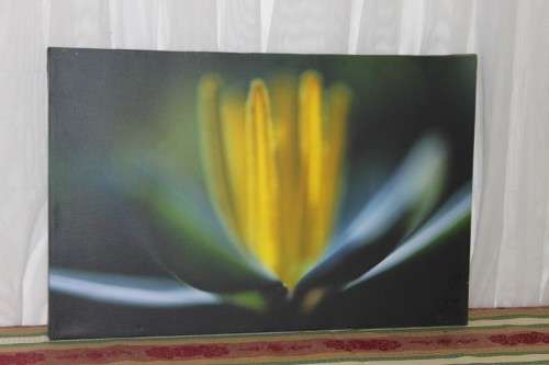 AN AWESOME BOX FRAMED "ABSTRACT" PHOTOGRAPH PRINT ON CANVAS IS IN AMAZING CONDITION