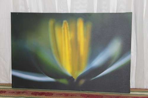 AN AWESOME BOX FRAMED "ABSTRACT" PHOTOGRAPH PRINT ON CANVAS IS IN AMAZING CONDITION