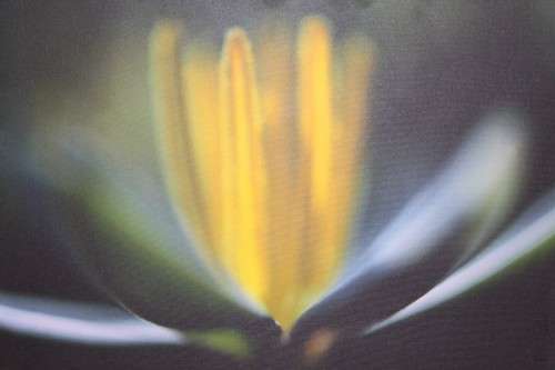 AN AWESOME BOX FRAMED "ABSTRACT" PHOTOGRAPH PRINT ON CANVAS IS IN AMAZING CONDITION