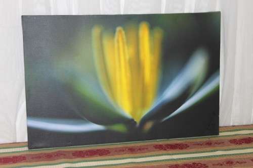 AN AWESOME BOX FRAMED "ABSTRACT" PHOTOGRAPH PRINT ON CANVAS IS IN AMAZING CONDITION