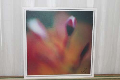 A BEAUTIFULLY APPOINTED SIGNED & FRAMED LORRAINE RALFE "ABSTRACT" COLOUR BOTANICAL PHOTOGRAPH PRINT