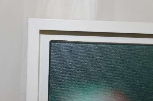 A BEAUTIFULLY APPOINTED SIGNED & FRAMED LORRAINE RALFE "ABSTRACT" COLOUR BOTANICAL PHOTOGRAPH PRINT