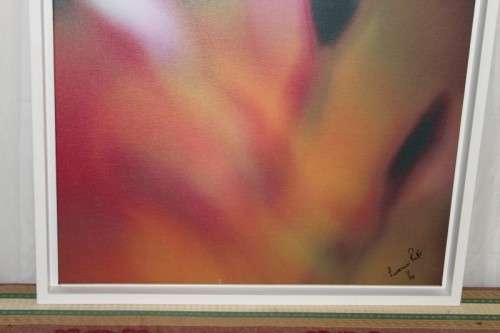 A BEAUTIFULLY APPOINTED SIGNED & FRAMED LORRAINE RALFE "ABSTRACT" COLOUR BOTANICAL PHOTOGRAPH PRINT