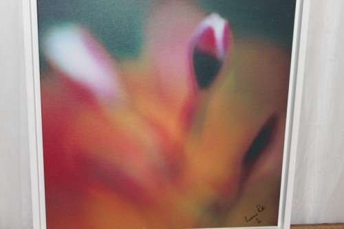 A BEAUTIFULLY APPOINTED SIGNED & FRAMED LORRAINE RALFE "ABSTRACT" COLOUR BOTANICAL PHOTOGRAPH PRINT