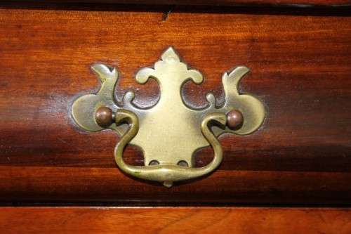 A MAGNIFICENT (X-TALL) ANTIQUE "GABLED" SOLID STINK-WOOD BALL & CLAW CABINET IN STUNNING CONDITION