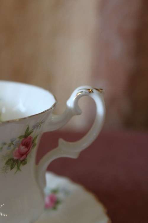 A BEAUTIFUL VINTAGE ROYAL ALBERT FINE BONE CHINA "FORGET-ME-NOT ROSE" CUP & SAUCER DUO - GORGEOUS!!