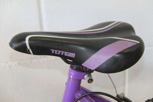 A fantastic Totem "CX 100" 21 speed off road bike in great condition - RS17Sale