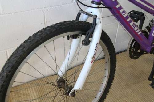 A fantastic Totem "CX 100" 21 speed off road bike in great condition - RS17Sale