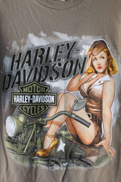 A wonderful authentic Harley Davidson Cape Winelands branded printed t-shirt in superb condition