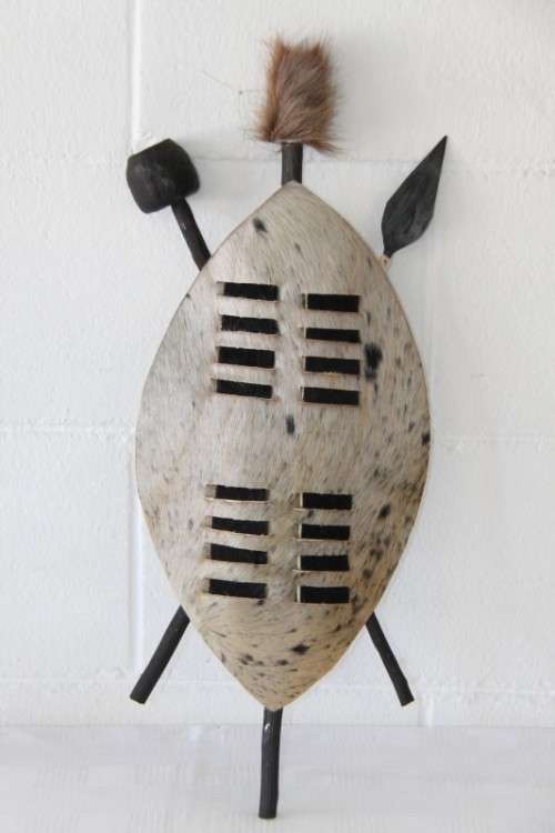 An amazing traditional Zulu cowhide shield with a spear and knobkierie