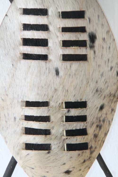 An amazing traditional Zulu cowhide shield with a spear and knobkierie