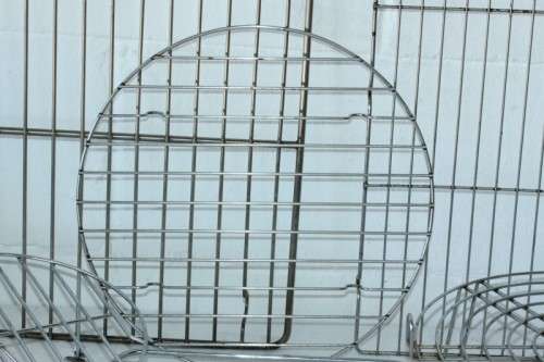 An awesome collection of 8x assorted metal drying racks for cooking and baking; bid/rack