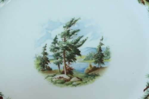 An incredibly rare vintage "Royal Albert" Knotty Pine trio, including teacup, saucer & cake plate