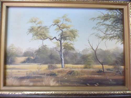 A beautiful signed and framed "V Jones" bushveld landscape oil painting in good condition; RS17Sale