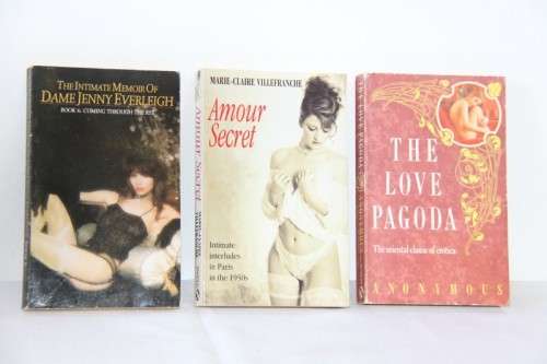 A great collection of 25x assorted erotica novel softcover books; perfect for retail bid/book RS17
