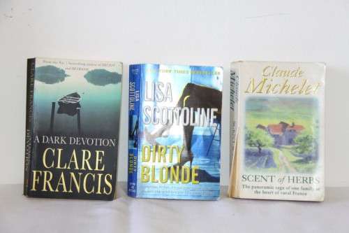 A superb collection of 20x assorted novel books (soft cover) - perfect for retail bid/book | RS17