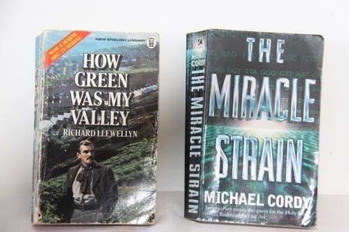 A superb collection of 20x assorted novel books (soft cover) - perfect for retail bid/book | RS17