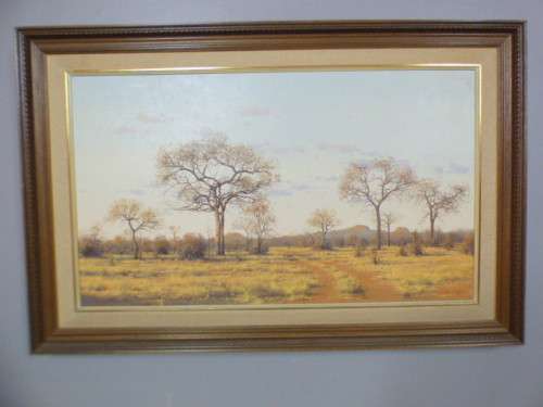 An incredible original signed and framed "Francois Koch" Karoo bush veld landscape oil painting