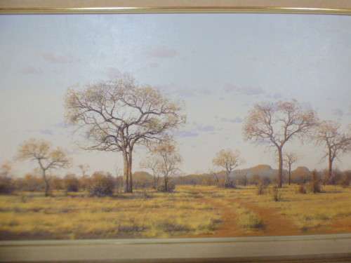 An incredible original signed and framed "Francois Koch" Karoo bush veld landscape oil painting