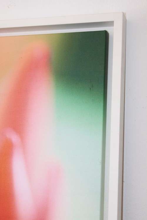 An amazing limited edition "abstract" photograph print of a flower - signed and numbered - RS17Sale