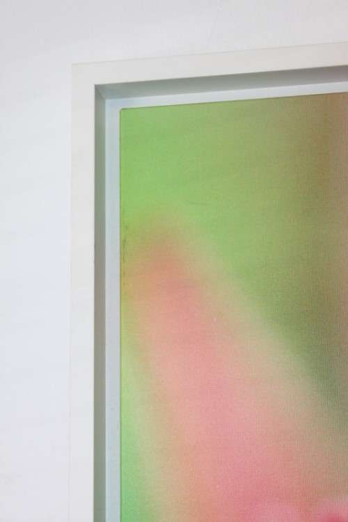 An amazing limited edition "abstract" photograph print of a flower - signed and numbered - RS17Sale