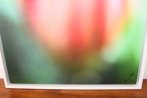 An amazing limited edition "abstract" photograph print of a flower - signed and numbered - RS17Sale